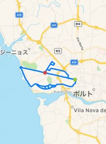 大航海時代