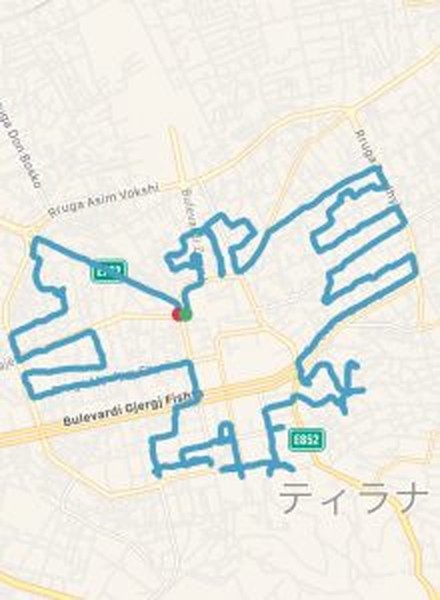 アルバニア国旗 双頭の鷲
