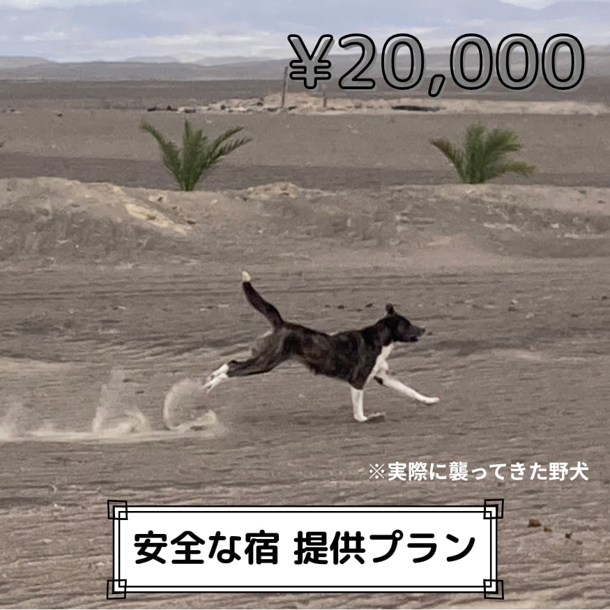 安全な宿
