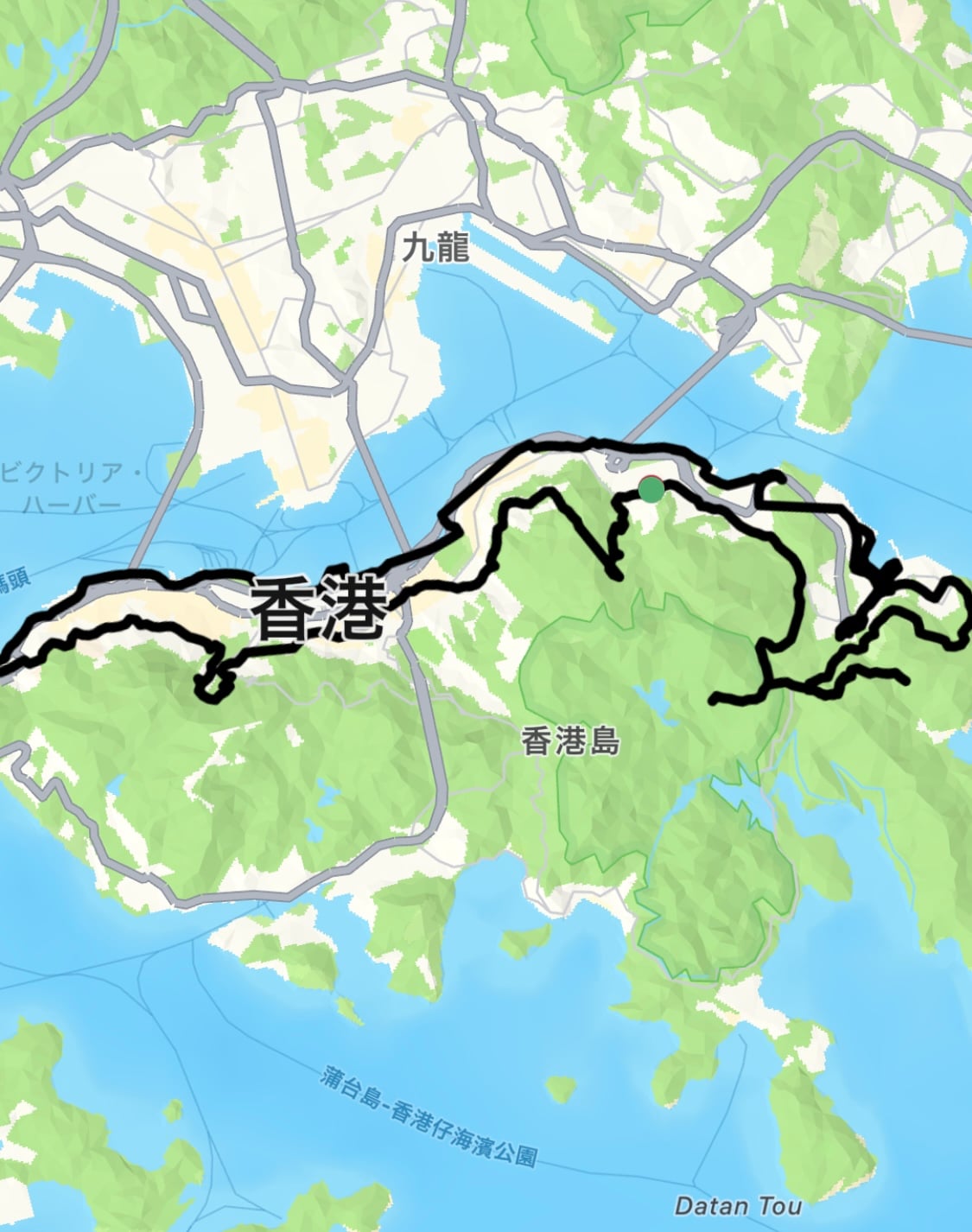 香港ドラゴン